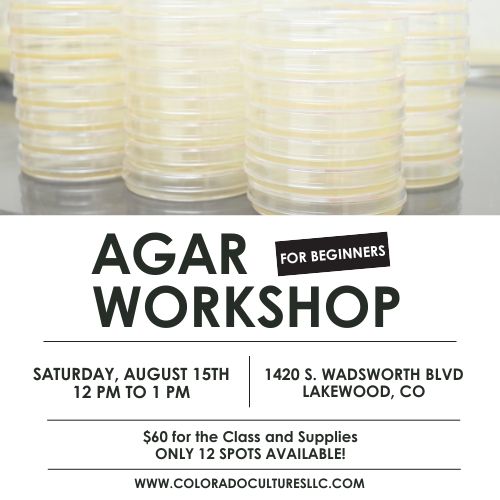 Agar Workshop for Beginners - 8/15