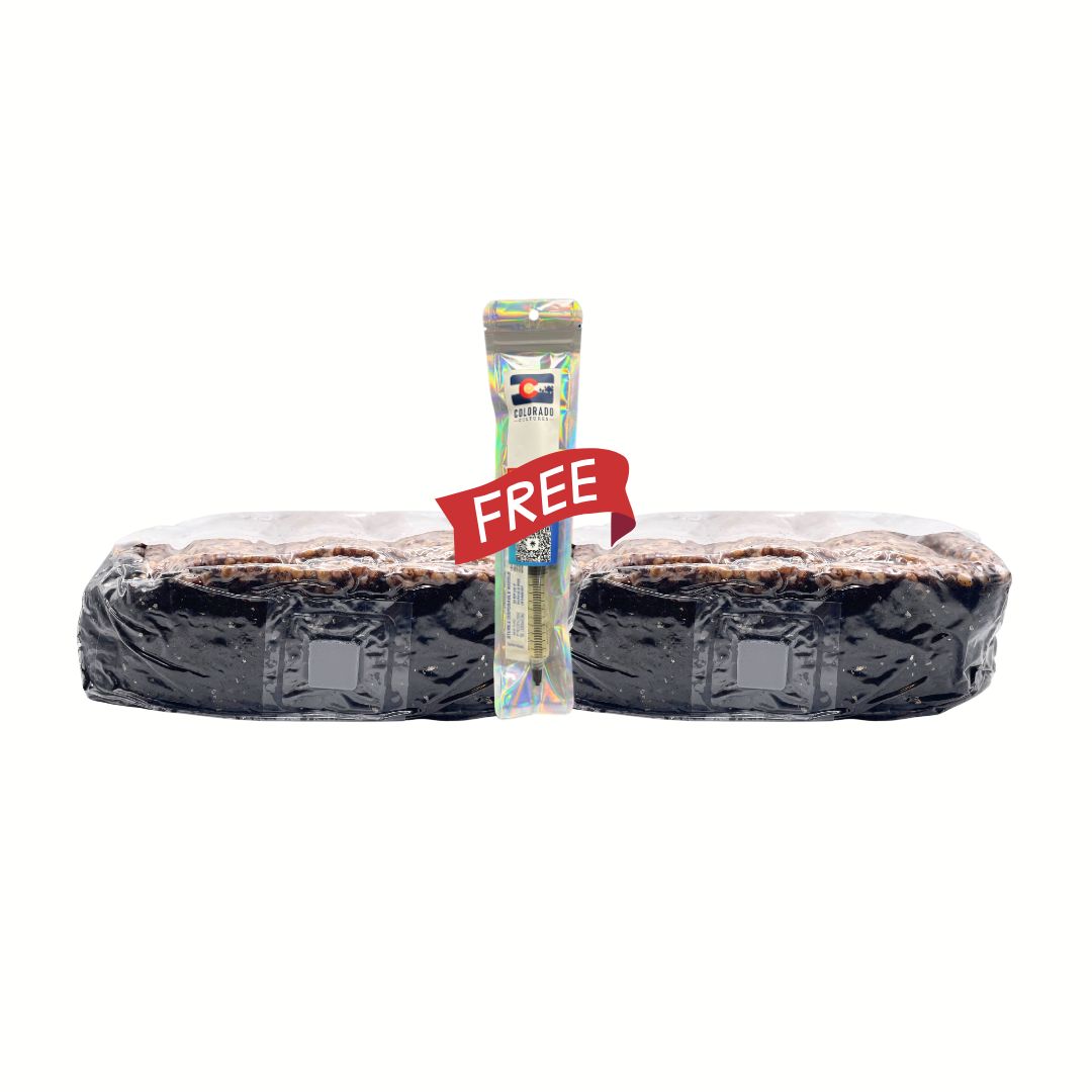 2 Pack + Free LC - 3lb Layered Sorghum All-In-One Grow Bags