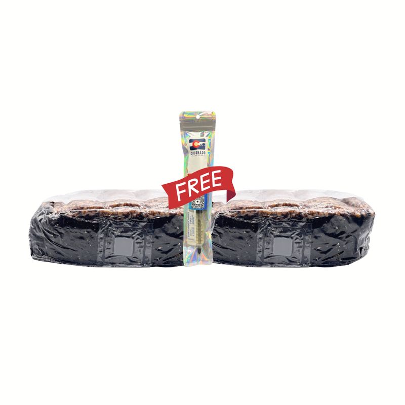 2 Pack + Free LC - 3lb Layered Sorghum All-In-One Grow Bags