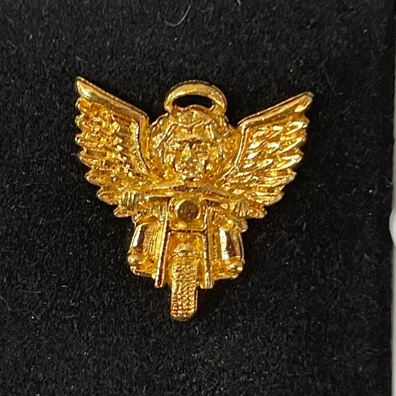 PNE1003/4 Guardian Angel Pins