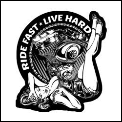 PPA7593 Motor Pinup Patch