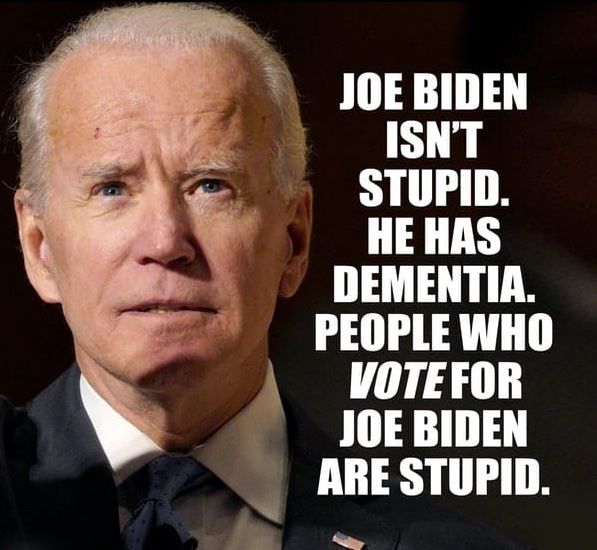 BIDEN STUPID 4x4 Stickers