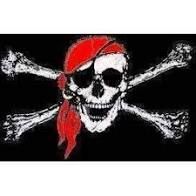 Jolly Roger 12"x18" Red Hat Flag  832718