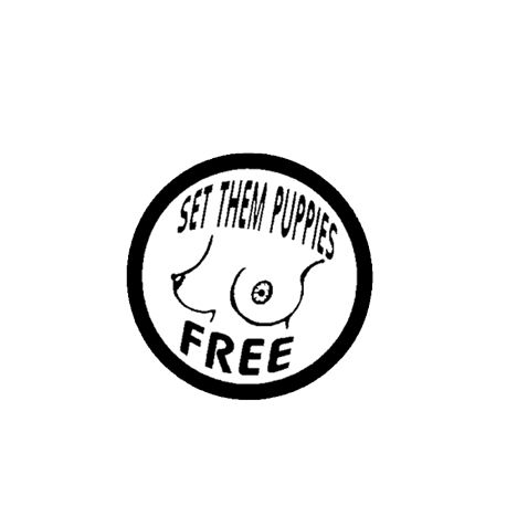 STPFS Set Them Free