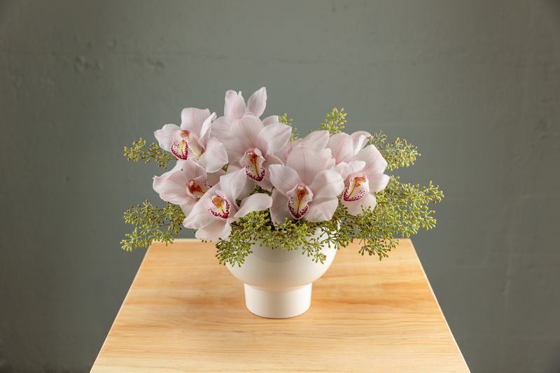 Cymbidium Orchid Arrangement - &quot;A Fan Favorite!&quot;