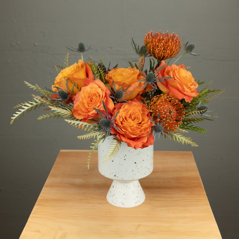 Modern Orange