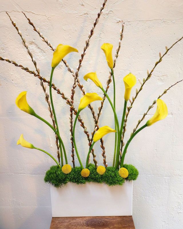 Spring Renewal