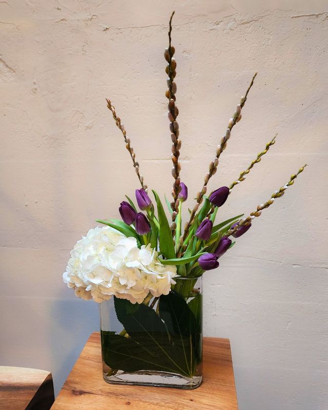 Tulip Serenade - small