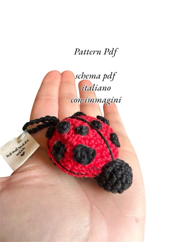 Schema Coccinella(coperto da copyright non divulgare)