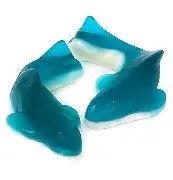 Gummy Killer Sharks