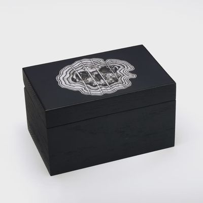 Tarot Darkside Wood Skelaton Box Holder