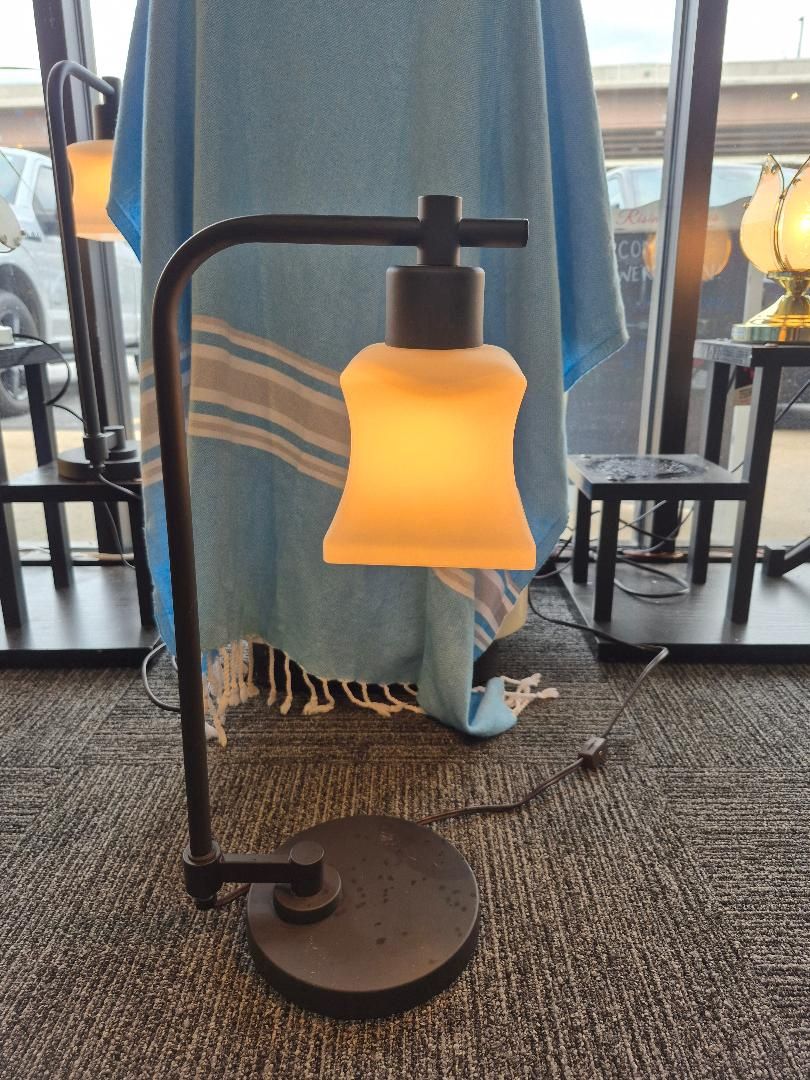 Goose Neck Brushed Nickle Frame Glass Shade