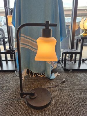 Goose Neck Brushed Nickle Frame Glass Shade