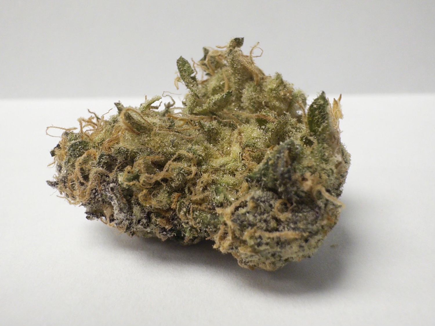 Pakalolo Flower - THCA - 3.5g TOP SHELF FLOWER, Strain: Black Maple - 32% Indica