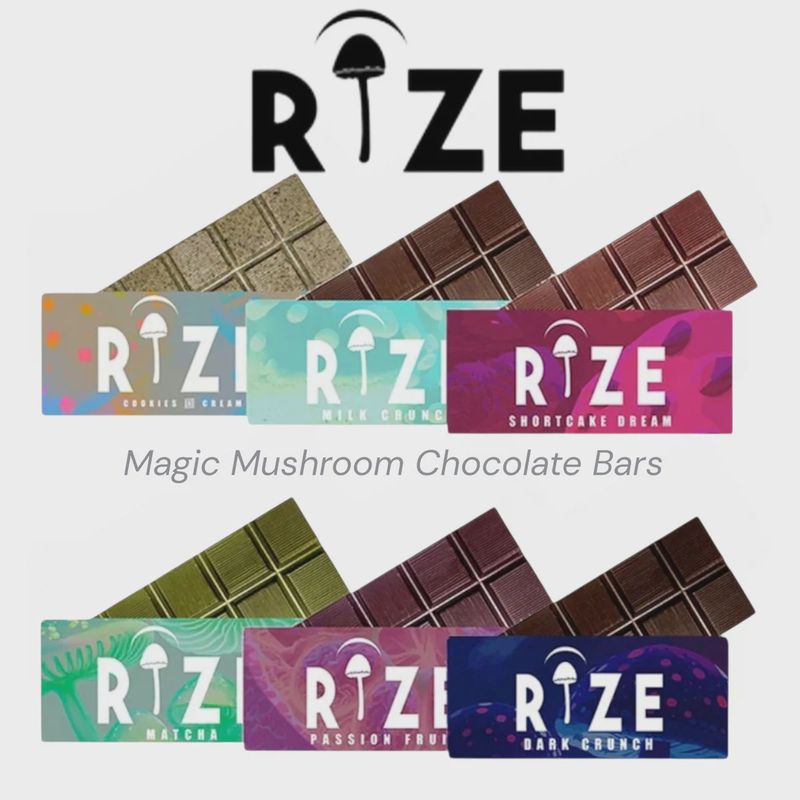 Rize - Mushroom Chocolate Bar - 5g