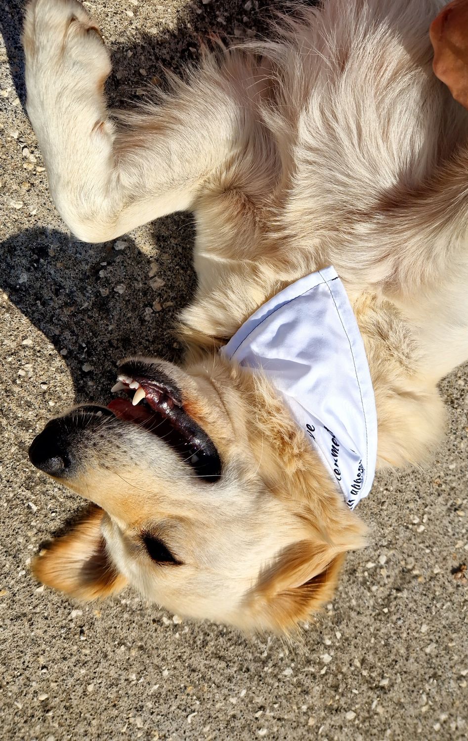 Going to Mars All-over print bandana