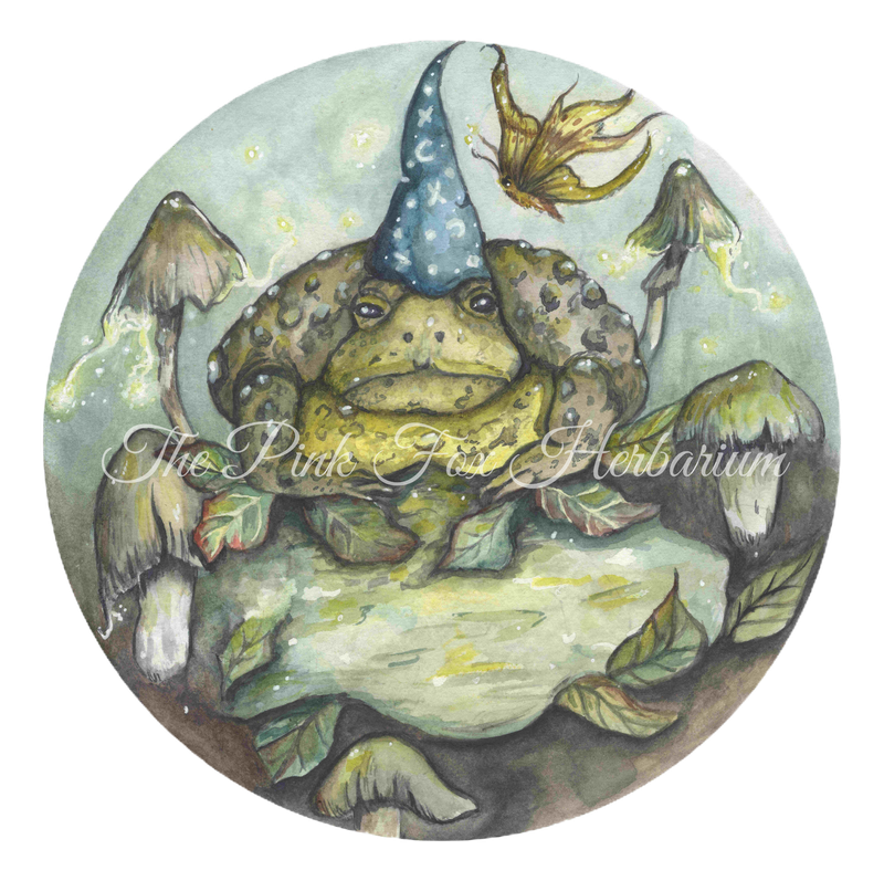 &quot;Lessons from Master Toad&quot;