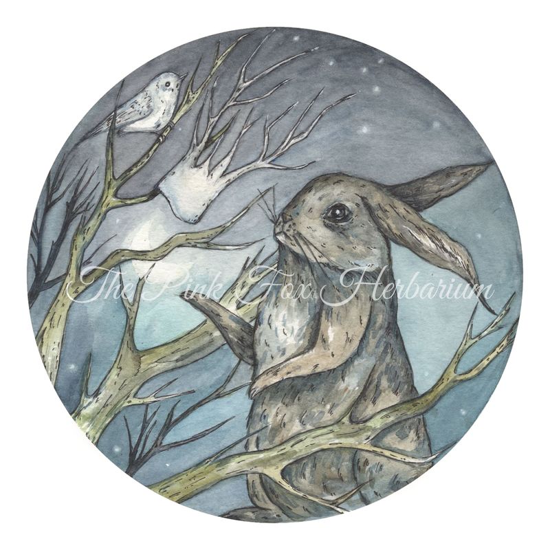 &quot;The Jackalope Queen&quot;