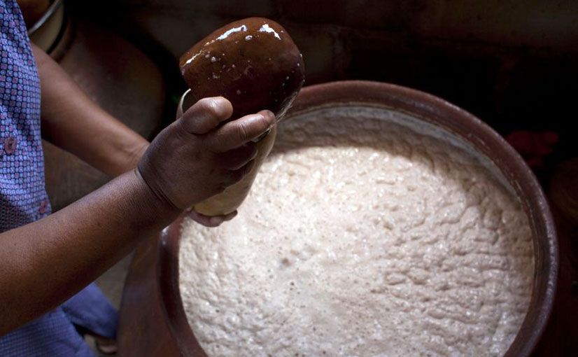 Degustacão de Comidas Sul Africanas na Favela do Langa