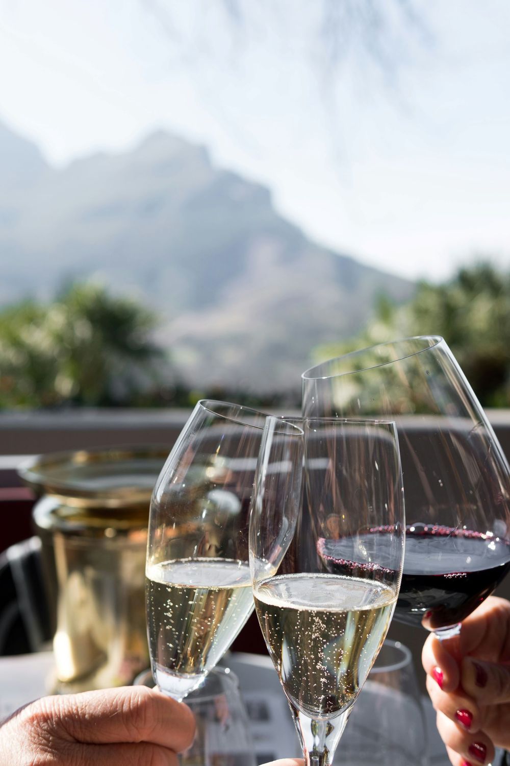 INÍCOLAS DE STELLENBOSH