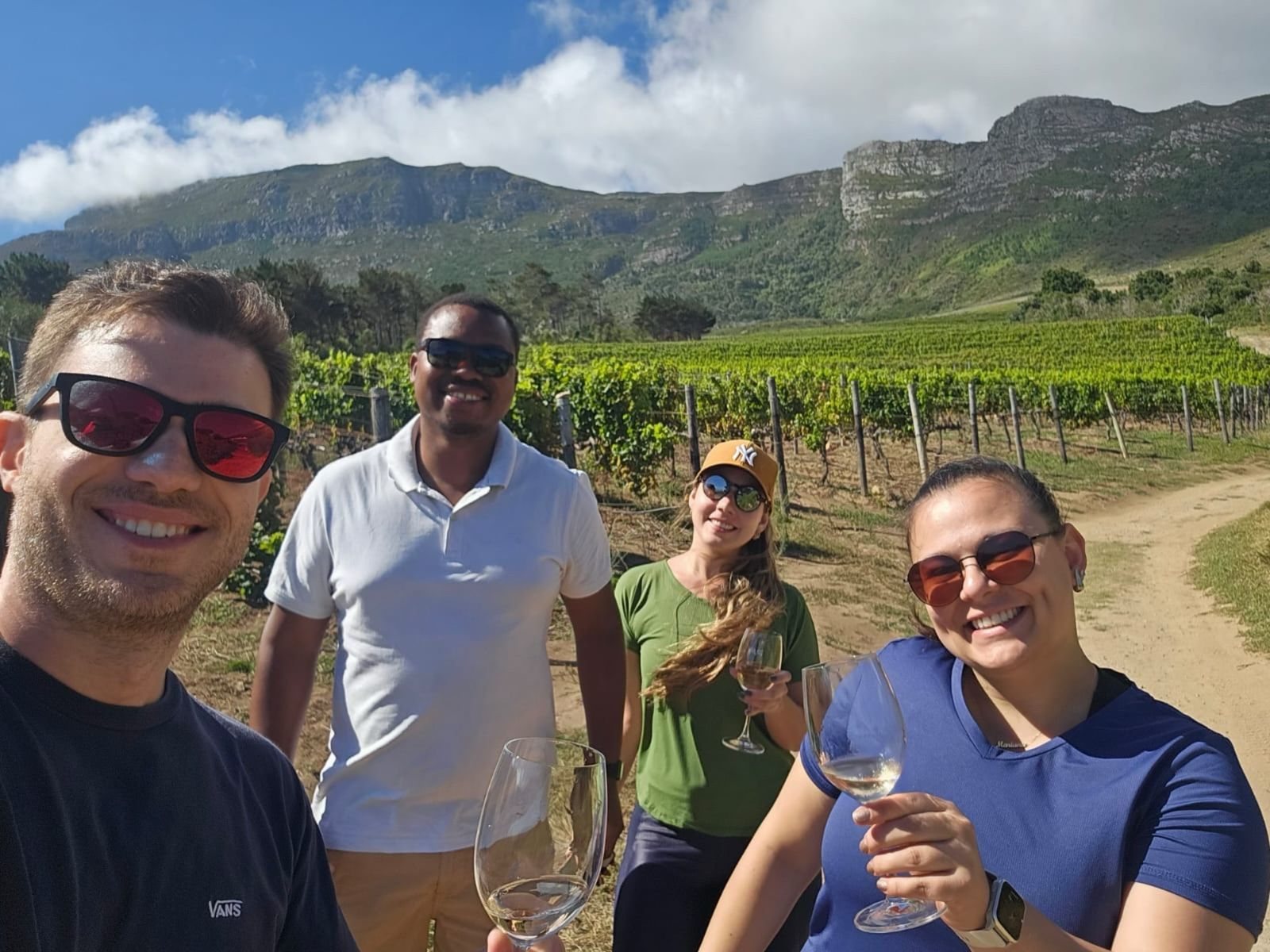 VINÍCOLAS DE STELLENBOSH