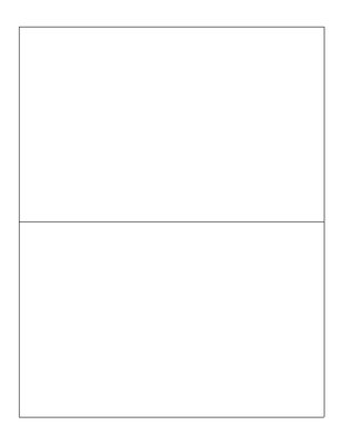 8.5&quot; x 5.5&quot; Laser Labels, 2 labels/sheet, 1000 sheets/case (GEMLP850550-916)