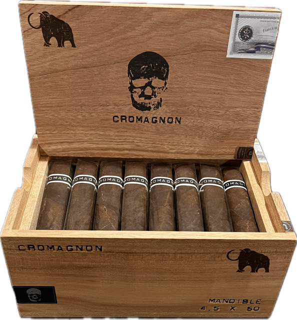 CroMagnon PA Mandible Mastodon CroMagnon PA Mandible Mastodon