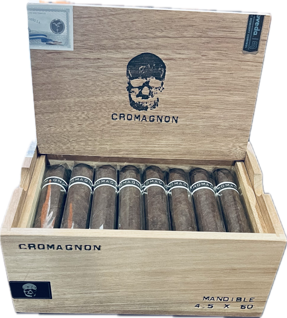 CroMagnon PA Mandible CroMagnon PA Mandible