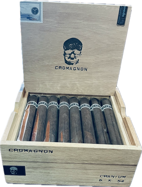 CroMagnon PA Cranium CroMagnon PA Cranium