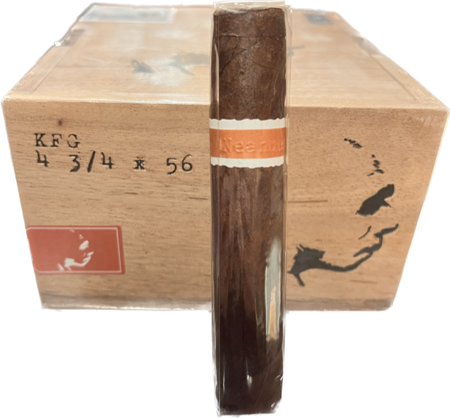 Neanderthal KFG Neanderthal KFG