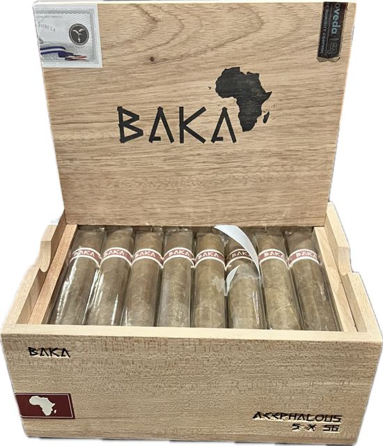 Baka Acephalous Baka Acephalous