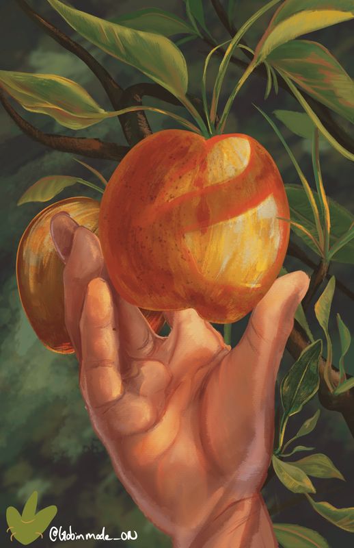 Apple Picking | Art Prints