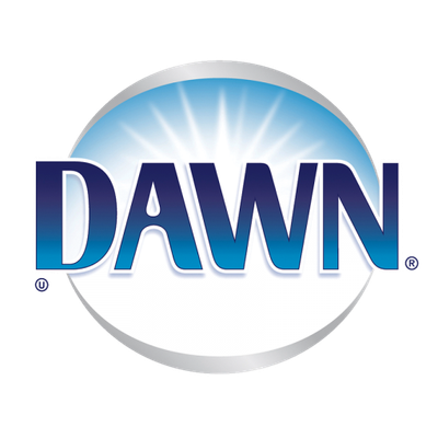 Dawn