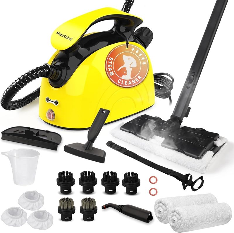 Steam Cleaner