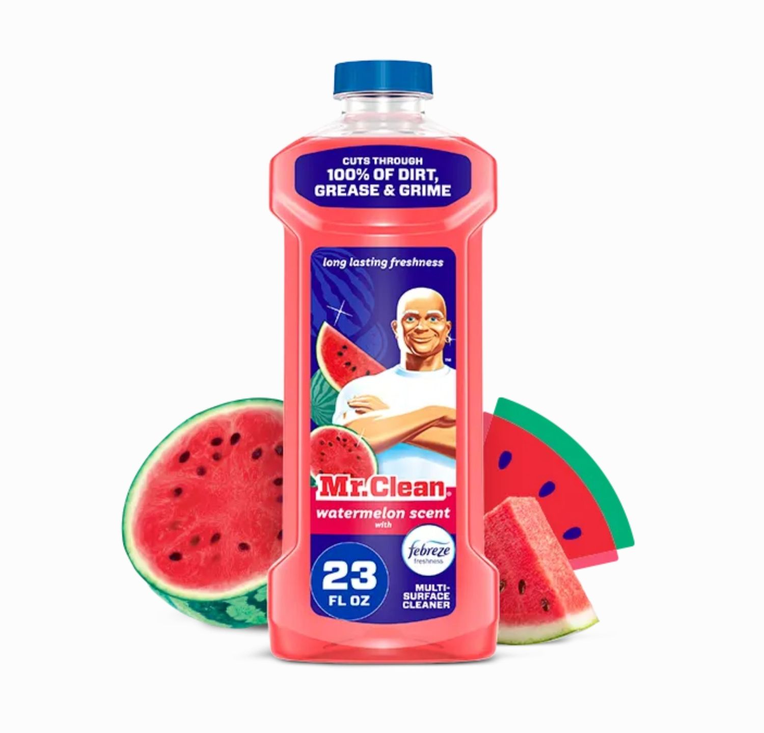 Mr. Clean All Purpose Cleaner Floor Cleaner