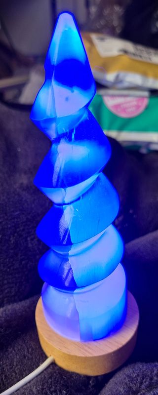 Selenite horn and lamp base