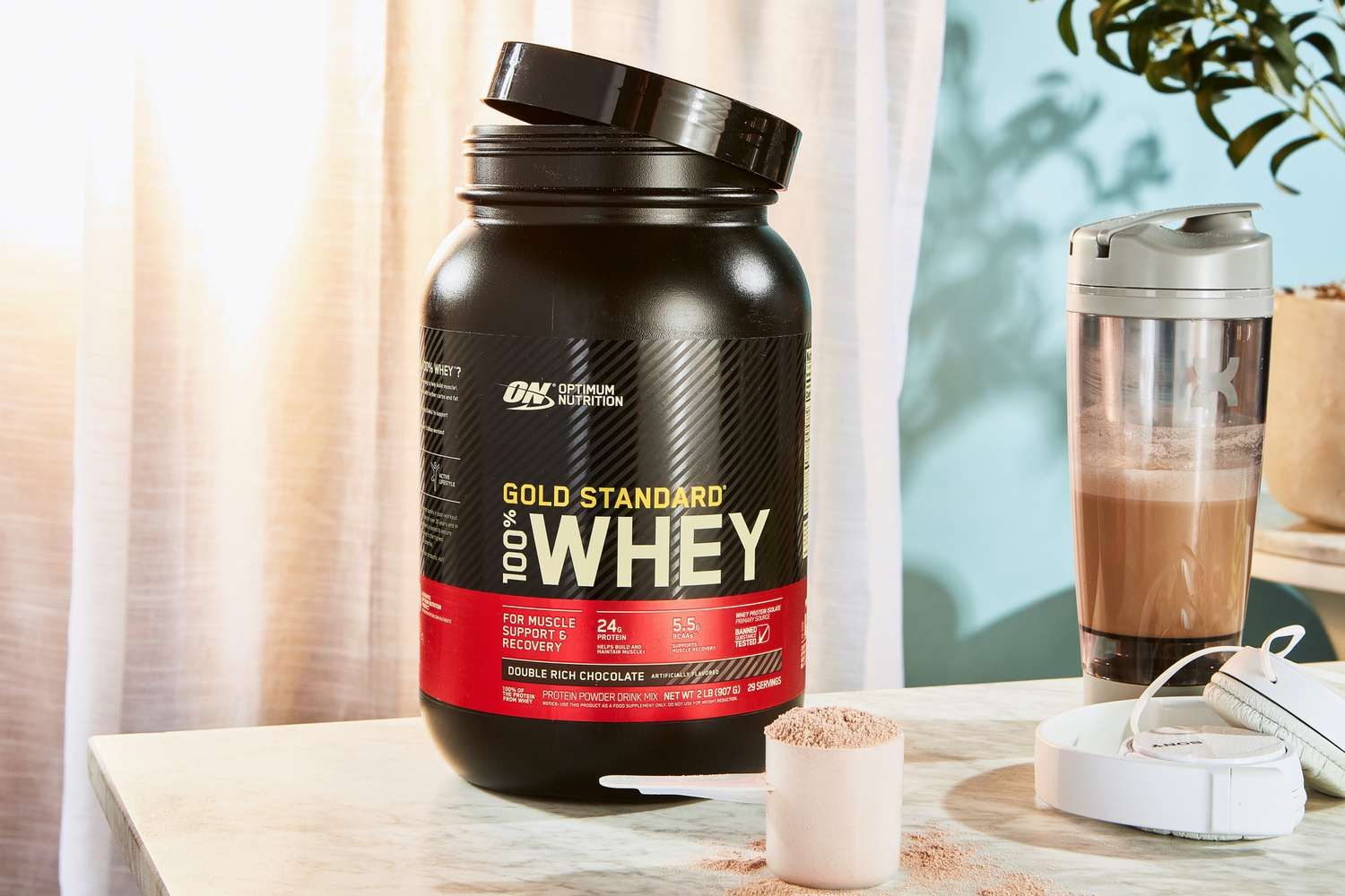 WHEY PROTEIN