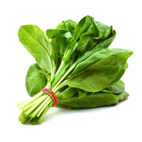 EPIGNARD