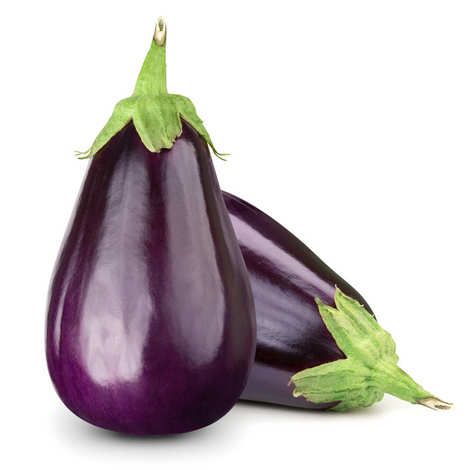 L&#39;AUBERGINE