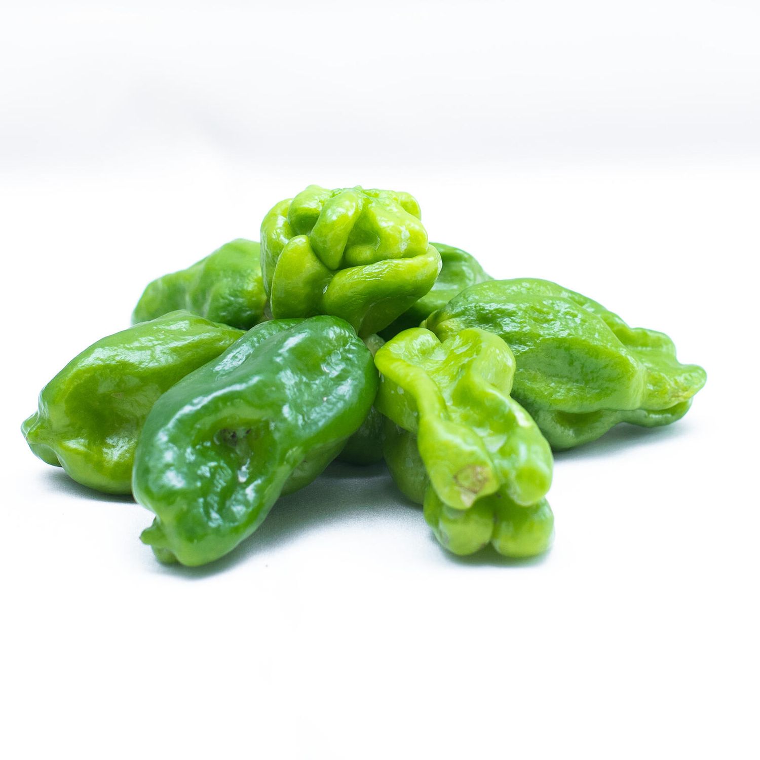 PIMENT