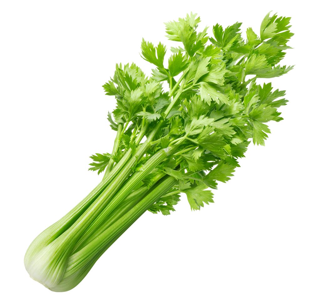 CELERI