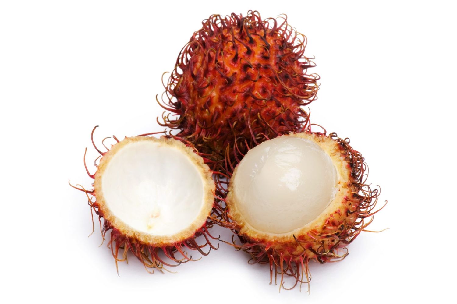 RAMBOUTON
