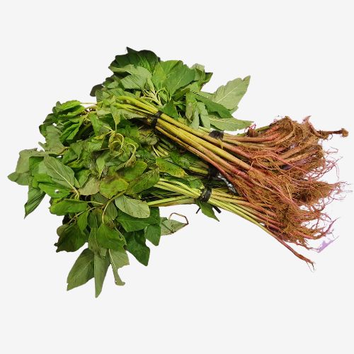 LEGUME BARI