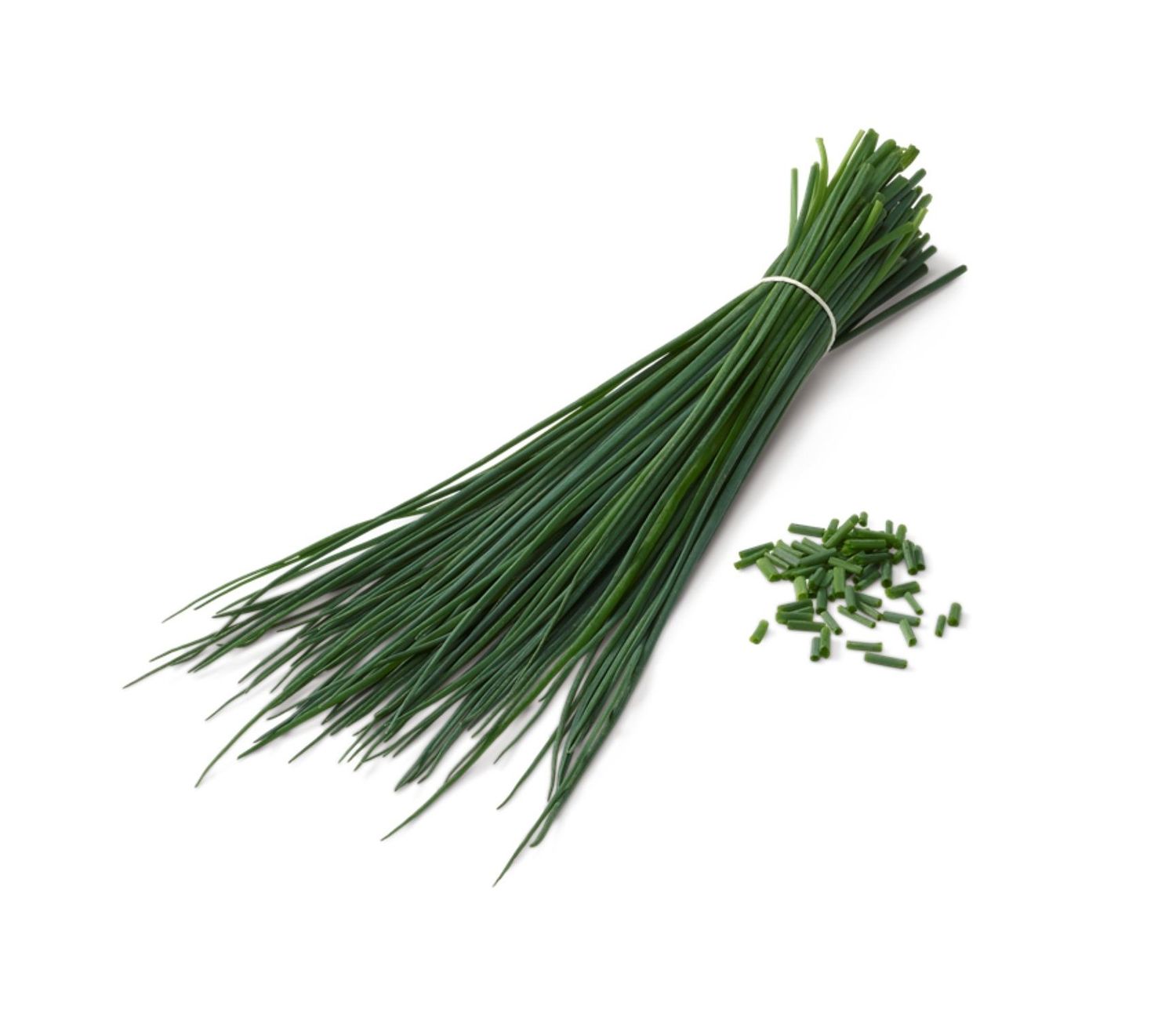 CIBOULETTE
