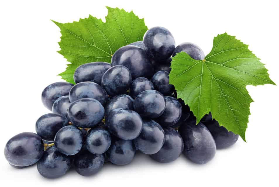 RAISINS