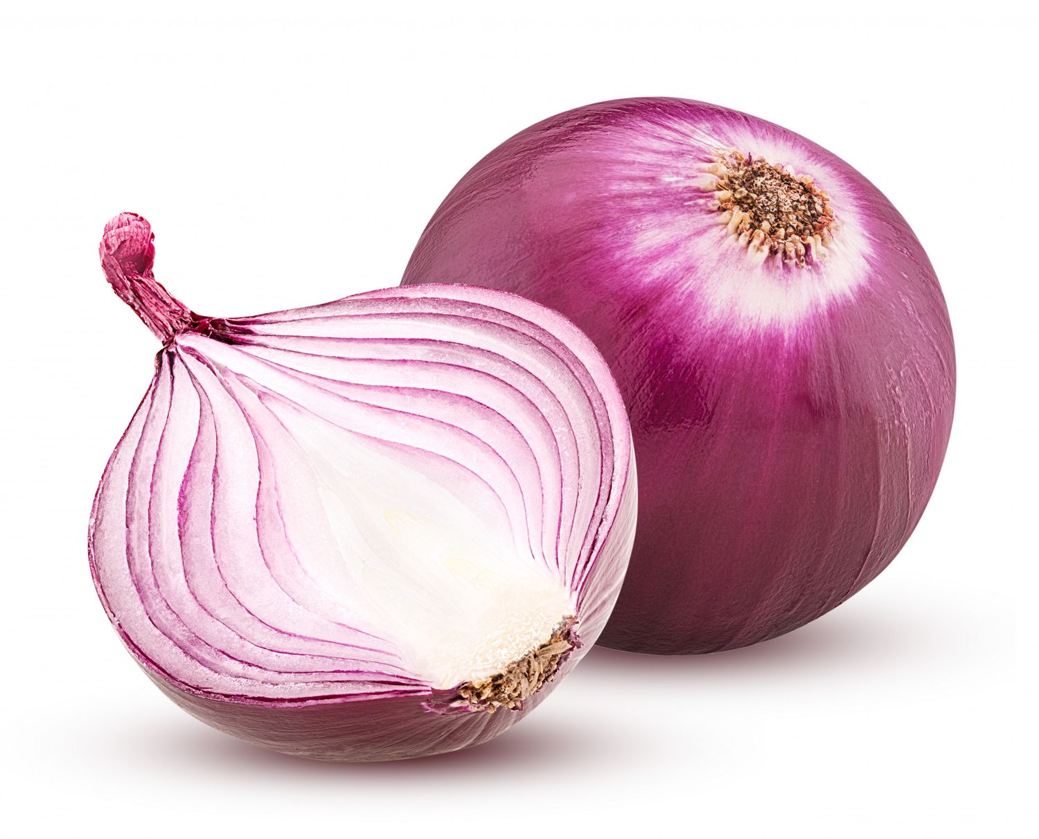 L&#39;OIGNON