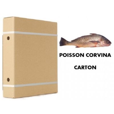 POISSON CORVINA
