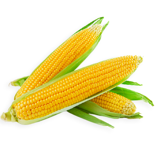 MAIS/1KG