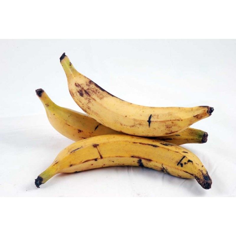 BANANES PLANTAIS/TAS