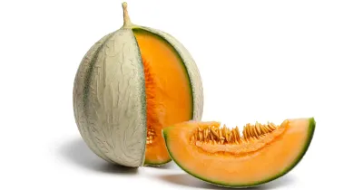 MELONS